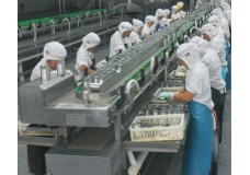裝罐稱(chēng)量輸送機